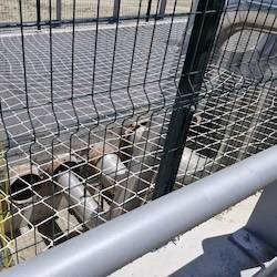 Geoteknik Tasarım - Saha Fotoğrafı