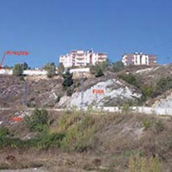 İnceleme Alanı Genel Görünüş